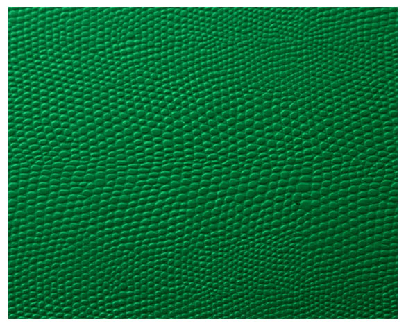 羽毛球場運動地板 艾力特 蛇皮紋