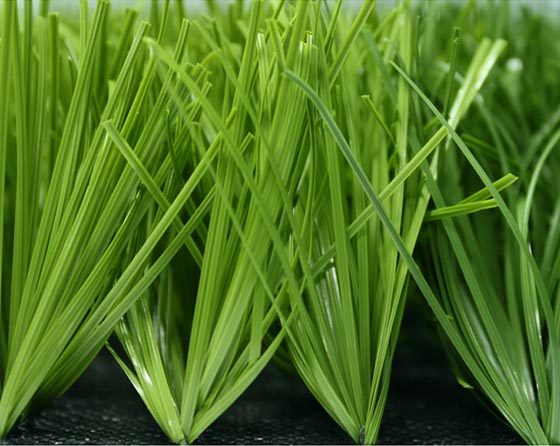 雙色單絲帶筋無黑紗