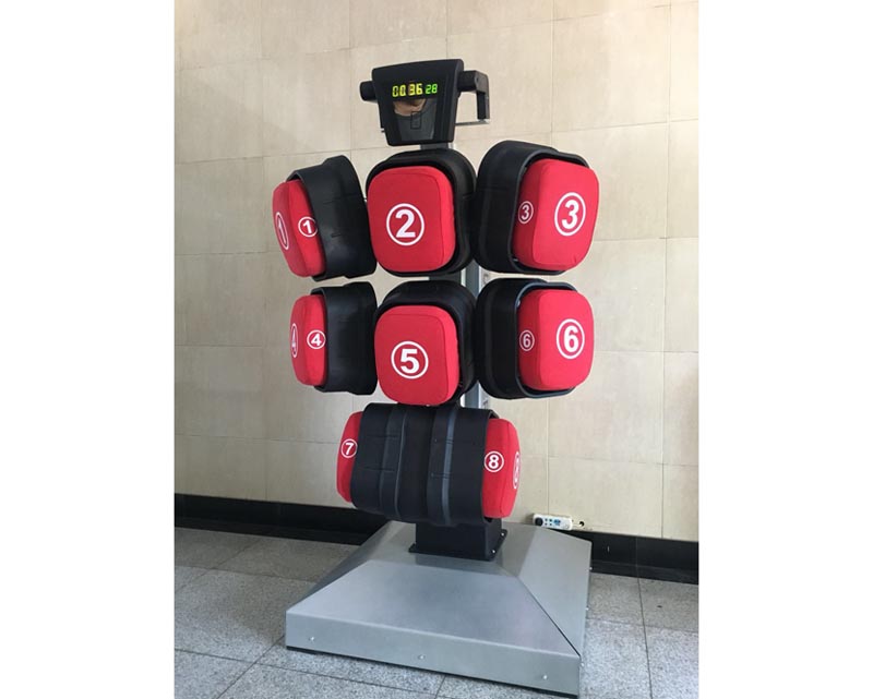 ZB-66 電子格斗訓練器