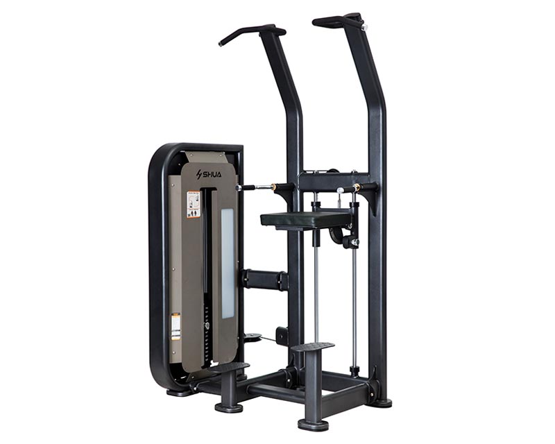 SH-6851 單雙杠訓(xùn)練器