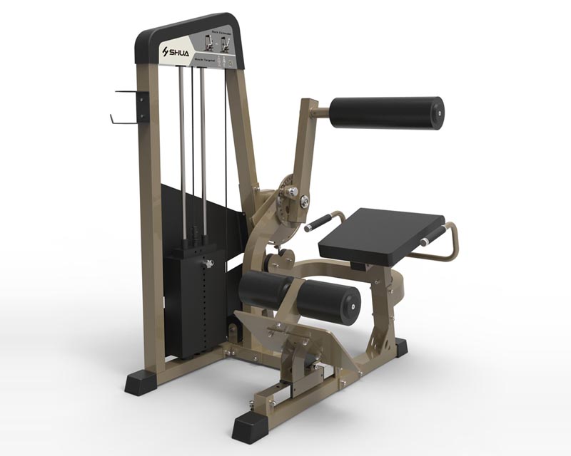 SH-G5820 背肌伸展訓(xùn)練器