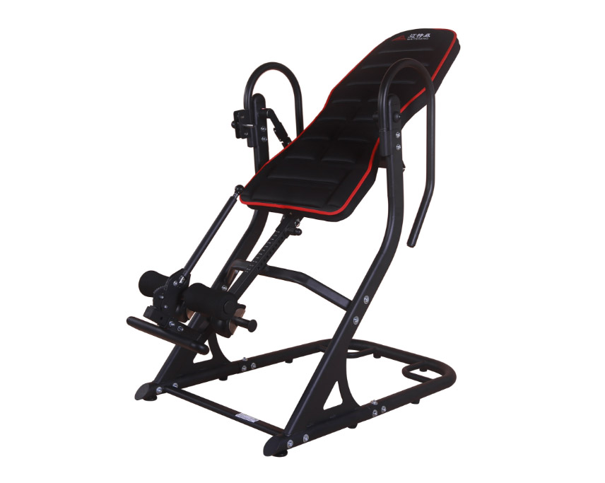 邁特森MS360 倒立機